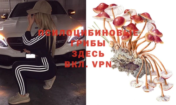 твердый Алексин