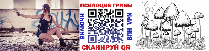 нарко площадка клад  Фролово  Галлюциногенные грибы Cubensis 