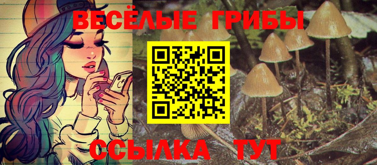 Галлюциногенные грибы Cubensis  Вход с VPN  Фролово 